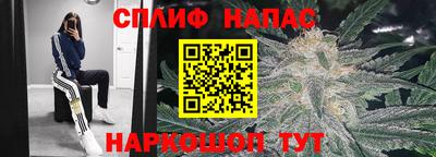 прущие грибы Лесной